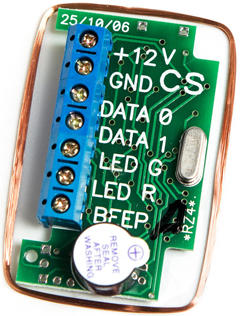 RZ4 ODM/OEM модуль RFID-считыватель (3244)